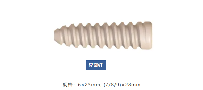 微信圖片_20250327102657